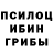 Псилоцибиновые грибы Cubensis Manuchihri