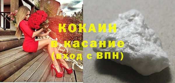 индика Армянск