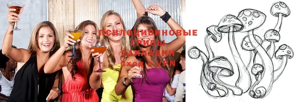 индика Армянск