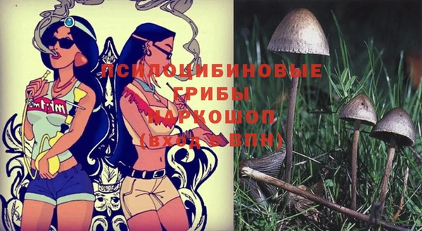 прущая мука Аркадак