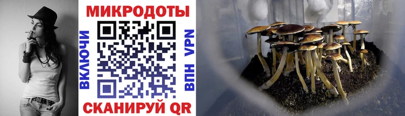 продажа наркотиков  Петровск  Галлюциногенные грибы мухоморы 