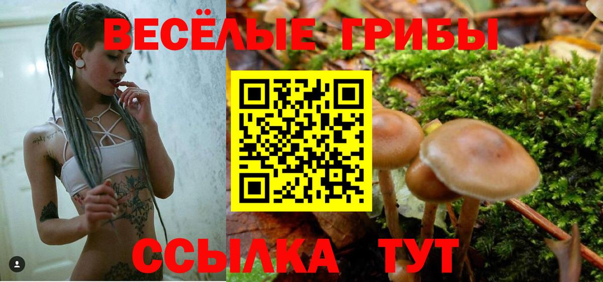 Петровск  Псилоцибиновые грибы прущие грибы  Вход с VPN  Галлюциногенные грибы мицелий 